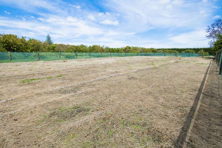 288 Lavenham Road Waituhi_9