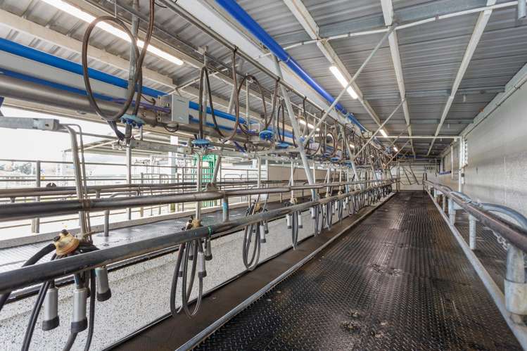 133 Flume Road Te Miro_8