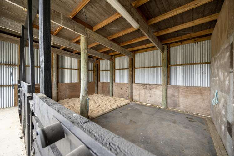 173 Taha Road Waimauku_28