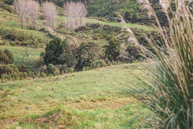 88 Waere Valley Lane Warkworth_13