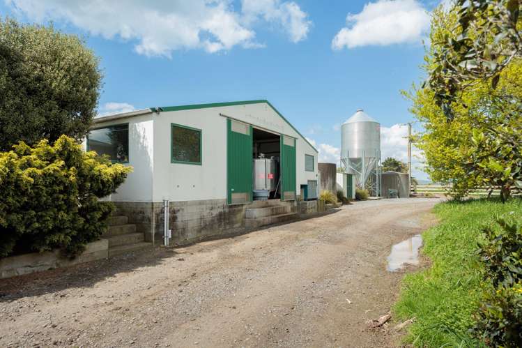 1001 Piako Road Gordonton_10