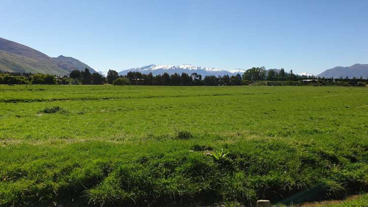 Riverbank Road Wanaka_14