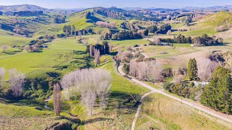 896 Te Awa Road Waipukurau_26