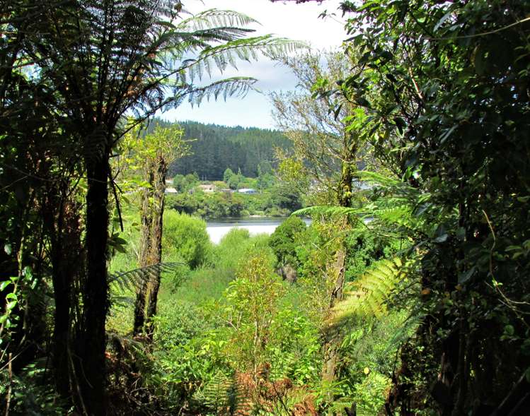 660 Taylorville Road Taylorville_21