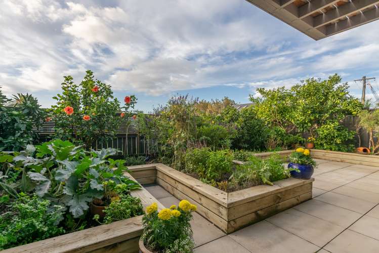 8/4 Curran Street Herne Bay_12