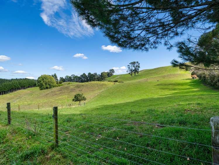 372f Wairoa Road Wairoa_43