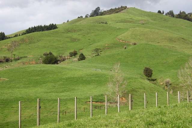 546 Maratoto Road Hikutaia_3