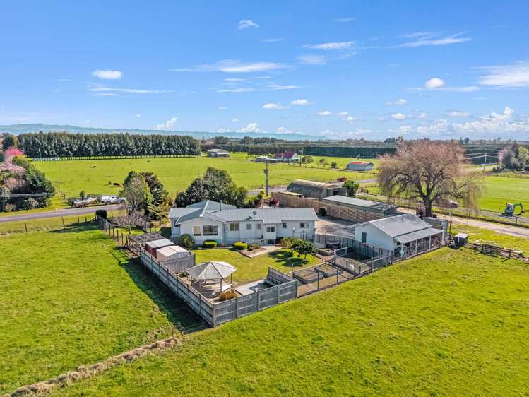 107 Paul Road Te Teko_4