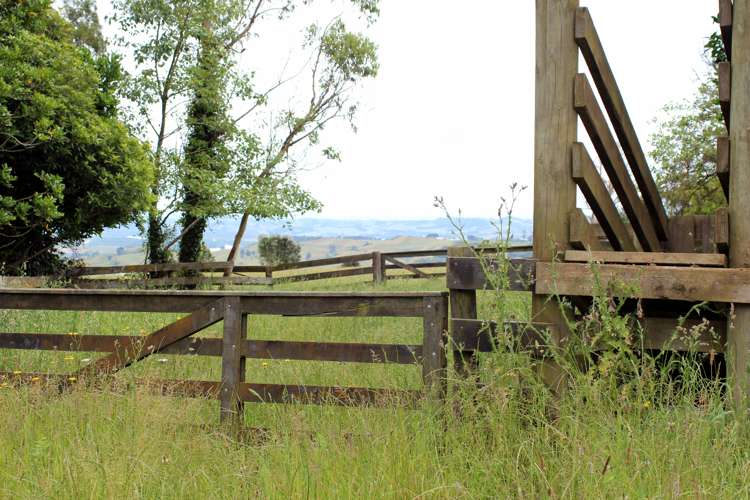 443b Murray Road Pukekawa_20