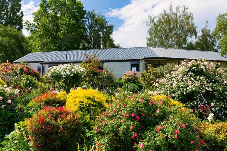 257 Waiau West Road Cheviot_19