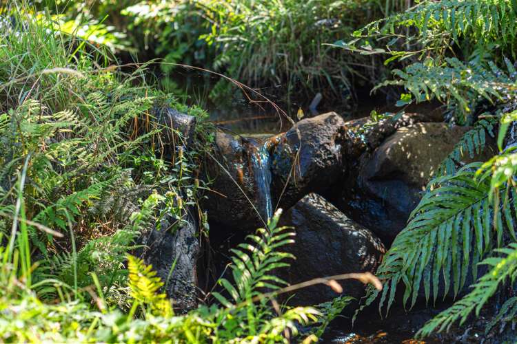 397 Ruapuke Road Raglan_25