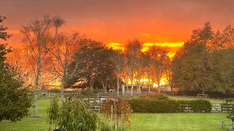 172 Ellett Road Karaka_13