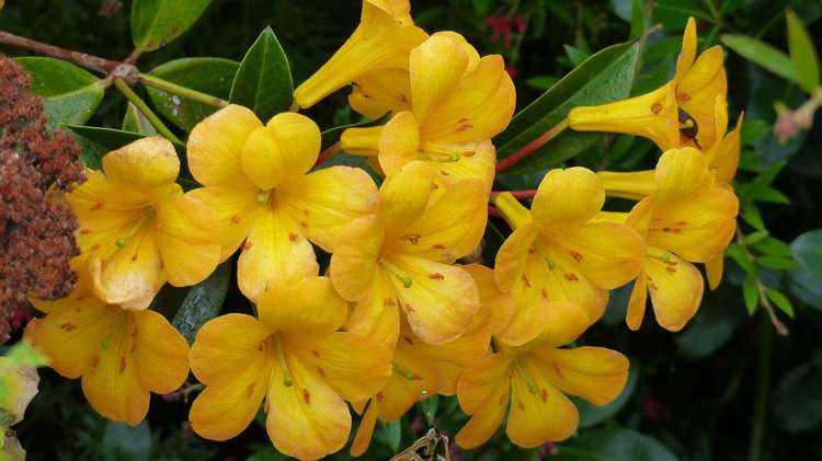 53 Kitewaho Road Swanson_115