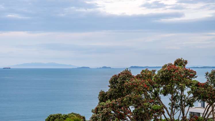 23 Whitby Crescent Mairangi Bay_8