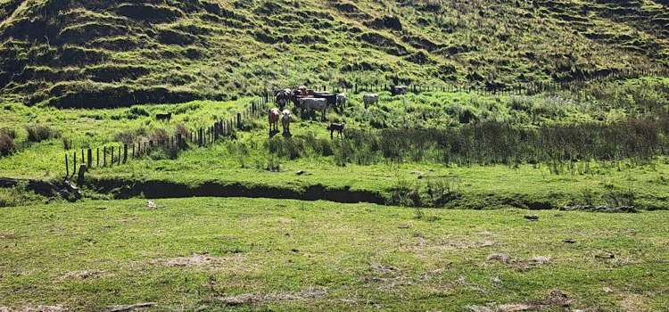 900 Okoki Road Okoki_19