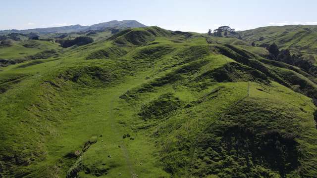 1410 Ngapaeruru Road Rangitikei Surrounds_1