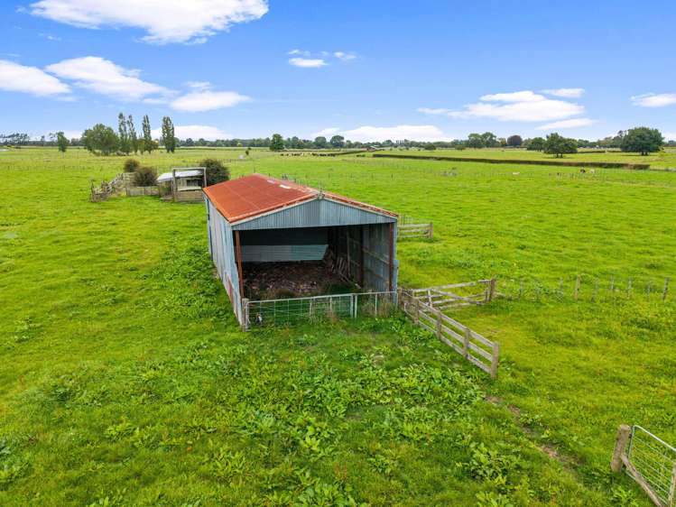 493 Horotiu Road Te Kowhai_6