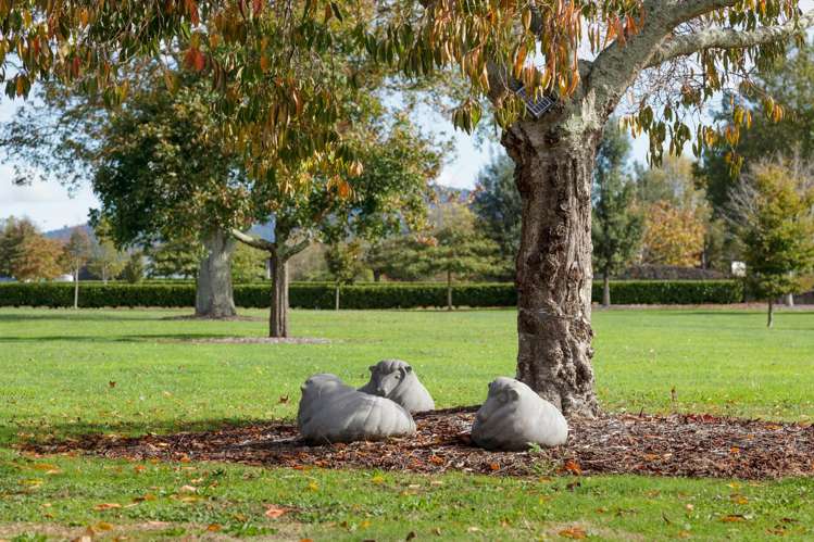 - Highgrove Station Road Matamata_11