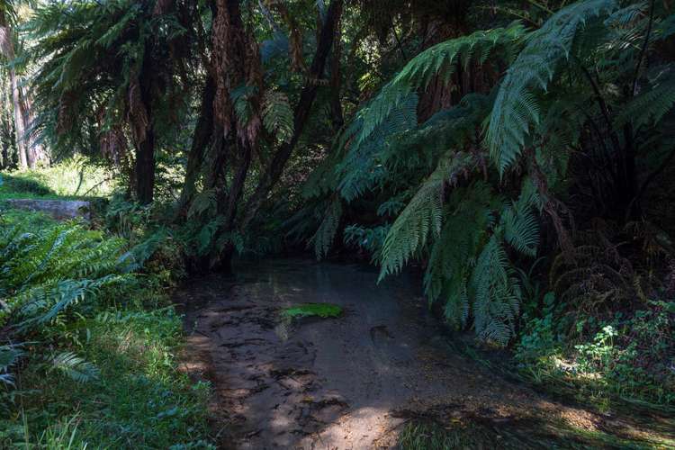 32 Icarus Place Westbrook_21