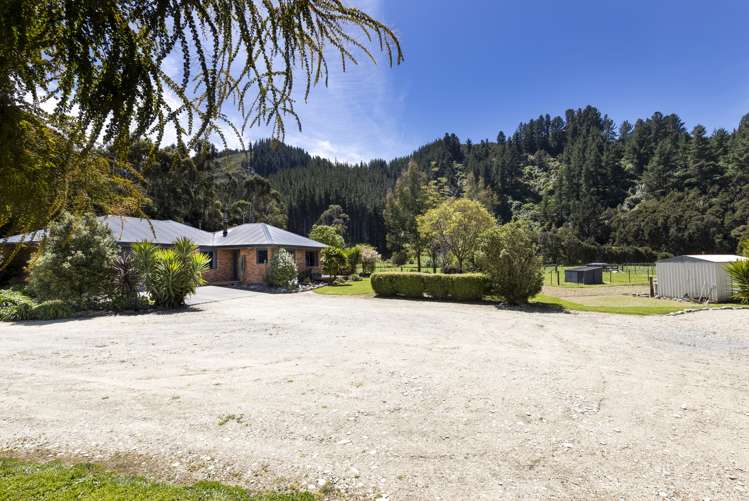 132 Mount Riley Road Havelock_8