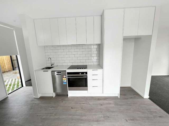 11F Hinemoa Street Spreydon_1