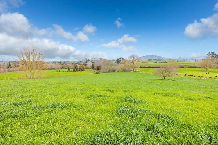 275 St Leger Rd Kihikihi_10