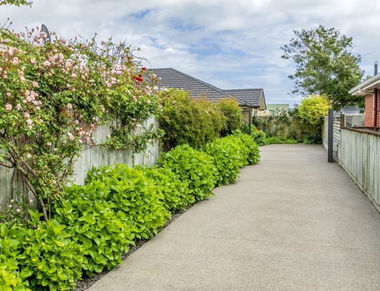 10a Clark Street Levin_15