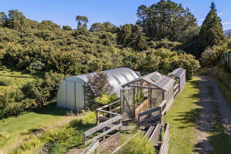 189 Thompsons Track Katikati_30