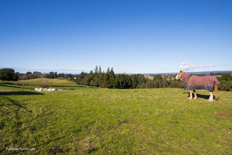 155 Henry Road Katikati_5