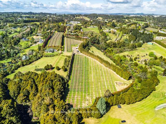 6.99ha Kiwifruit Orchard + Development