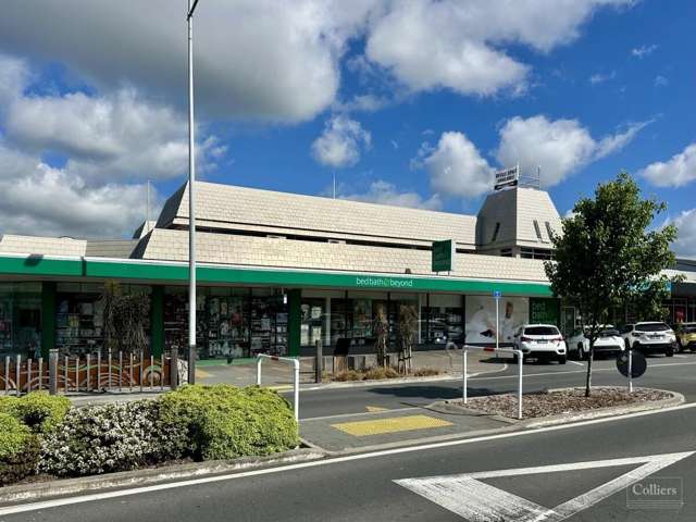 46 Horomatangi Street Town Centre_1