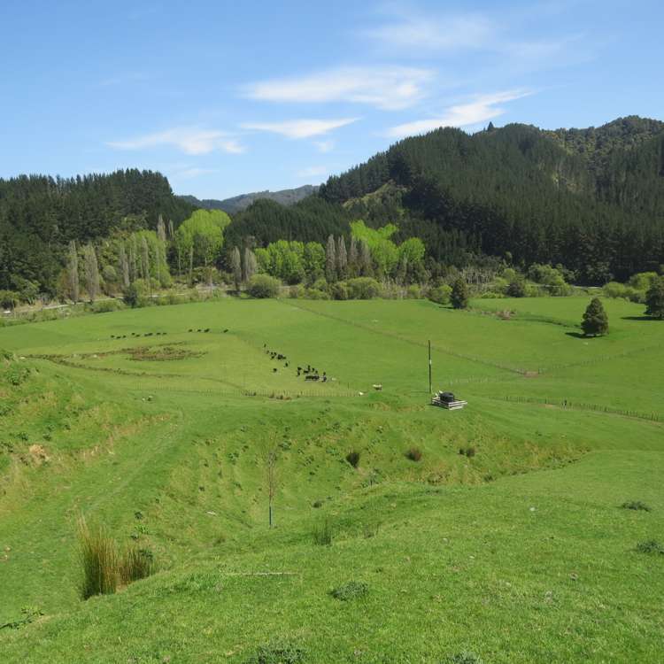 167 Whenuakura Road Waimiha-Ongarue_12