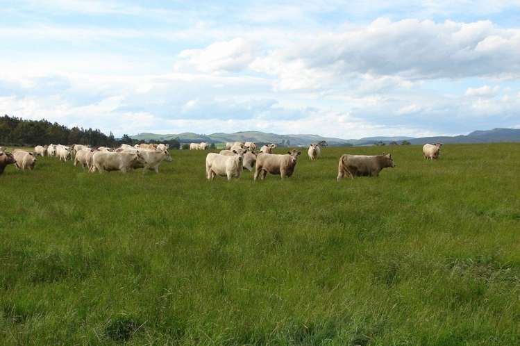 389 Mckenzie Road Winton Surrounds_13