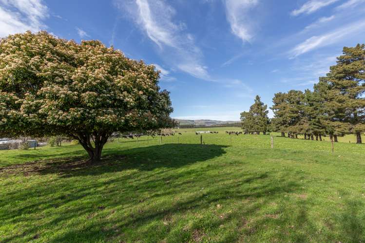277 Mackenzies Road Waipara_15