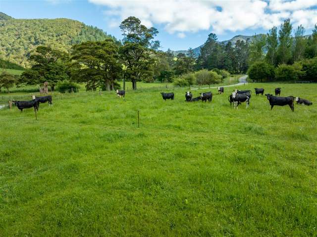 726 Tunakino Valley Road Rai Valley_1