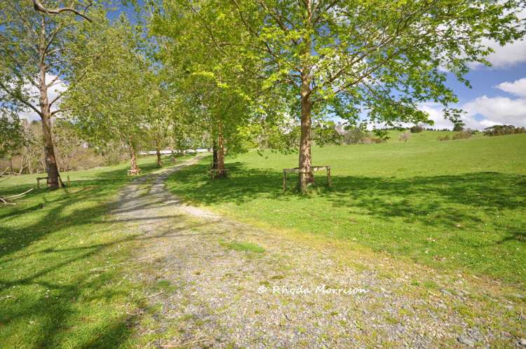 726 Paparoa Station Road_0