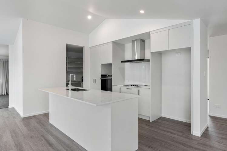 350 Whitehills Road Dairy Flat_8