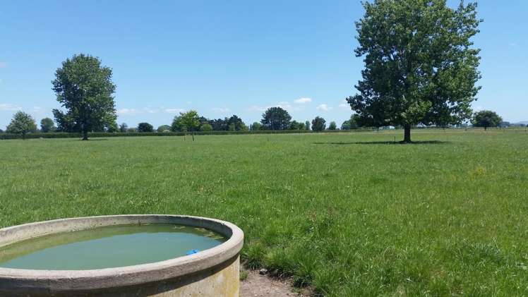 201 Steele Road Manawaru_13