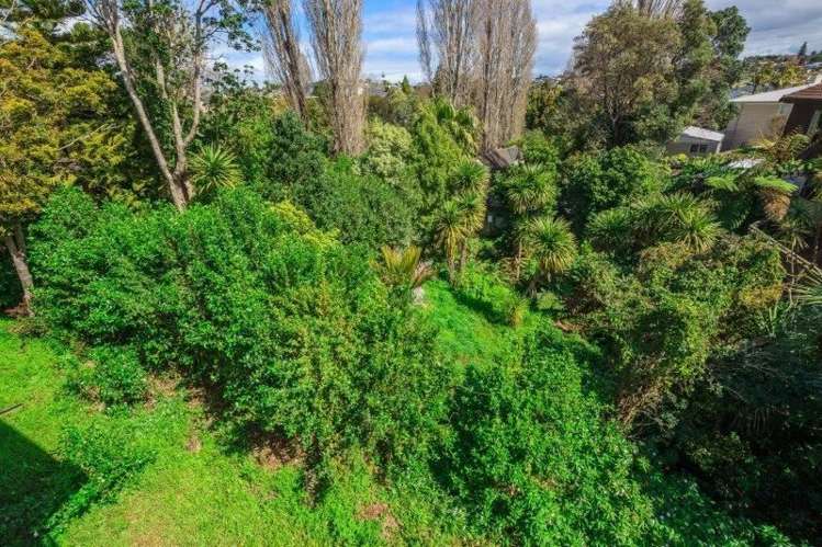 15b Sayegh Street Saint Heliers_13