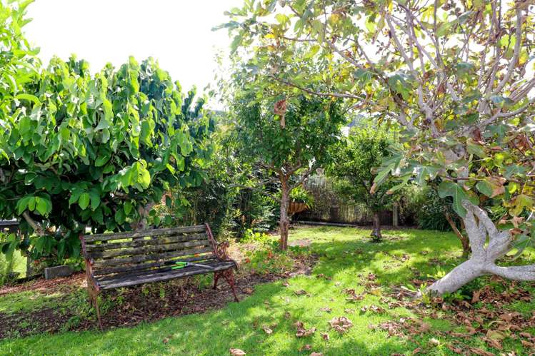 214 Augustus Street South Thames_20