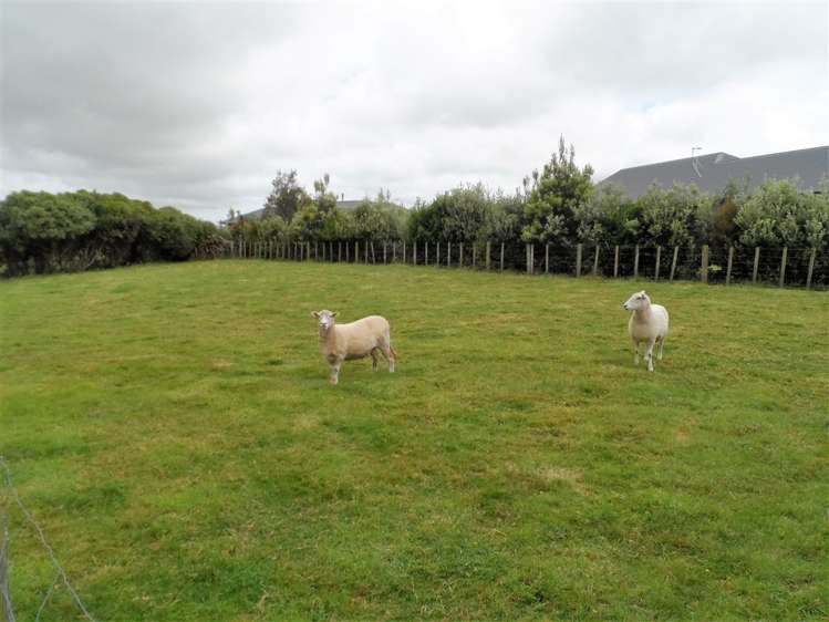 85 Mount Taylor Drive Feilding_18