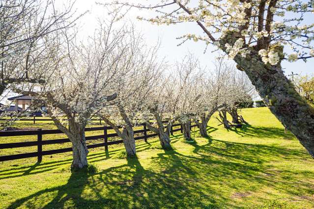 48 Travers Road Te Kauwhata_1