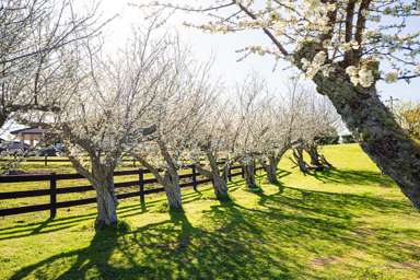 48 Travers Road_4
