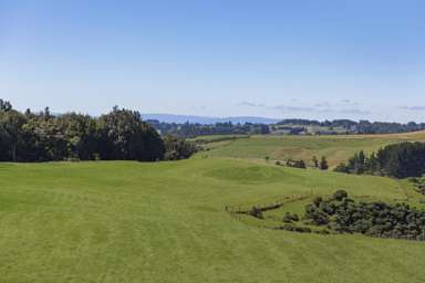 37 Shearer Road_2