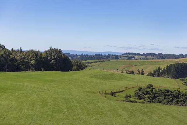 37 Shearer Road Te Puke_2