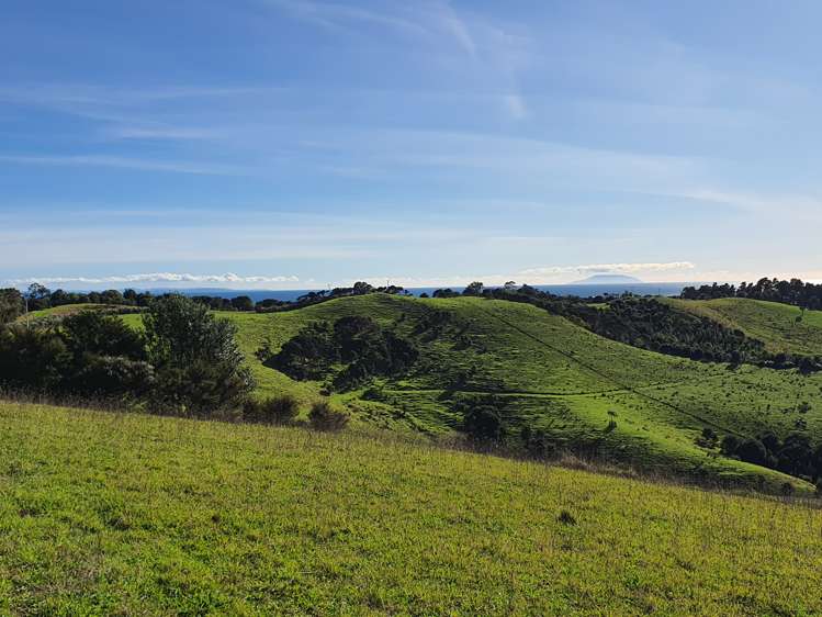 240 Waiheke Road Waiheke Island_8