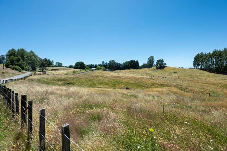 93 Oak Drive Wairakei and Surrounds_37