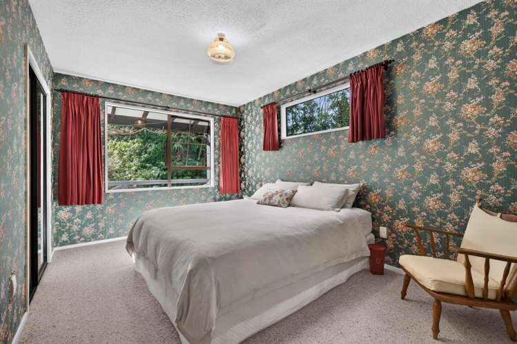 108 Homebush Road Glentunnel_7