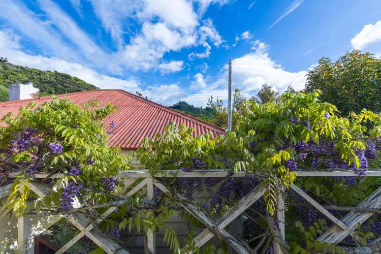 20 Buller Street Picton_17