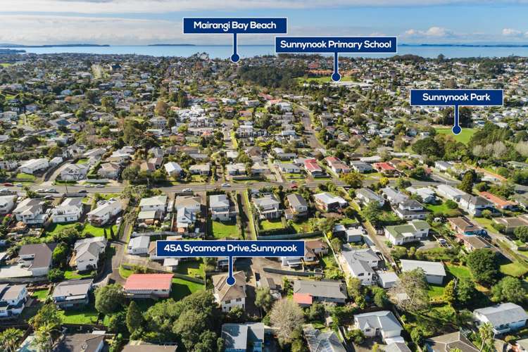 45a Sycamore Drive Sunnynook_21